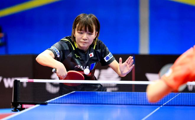 经纪人角色 经纪人角色