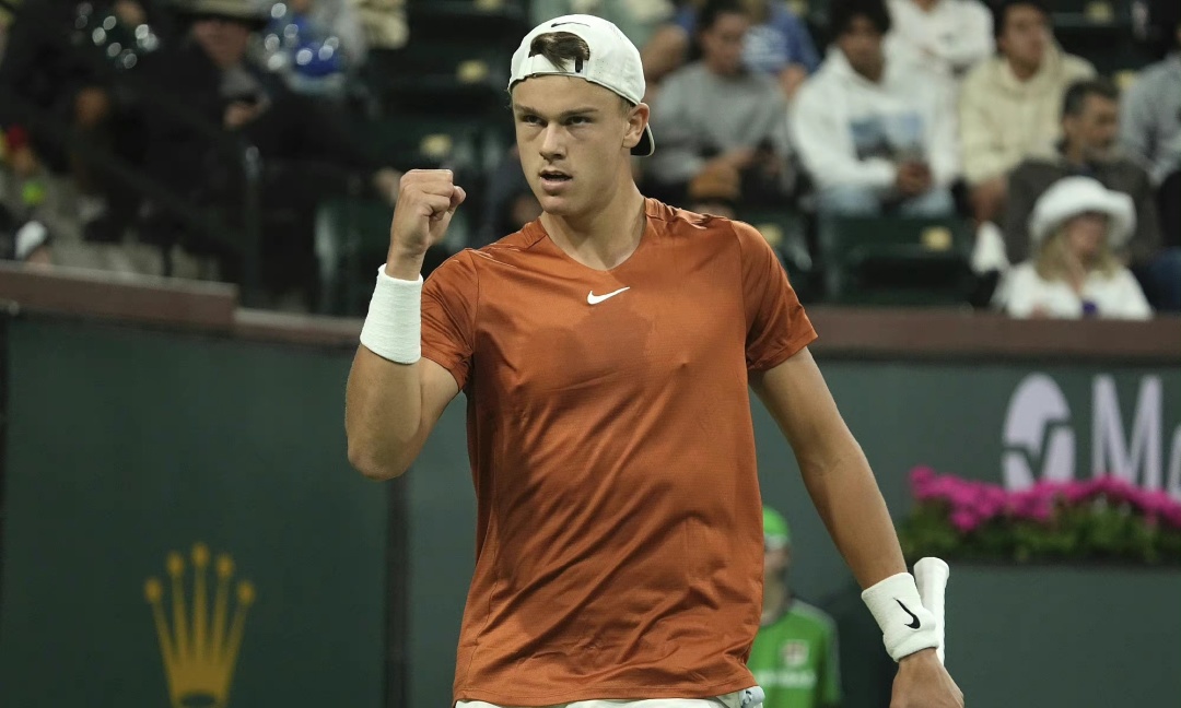 对于只打了 对于只打了